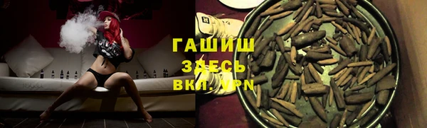 индика Саяногорск